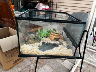 Reptile tank