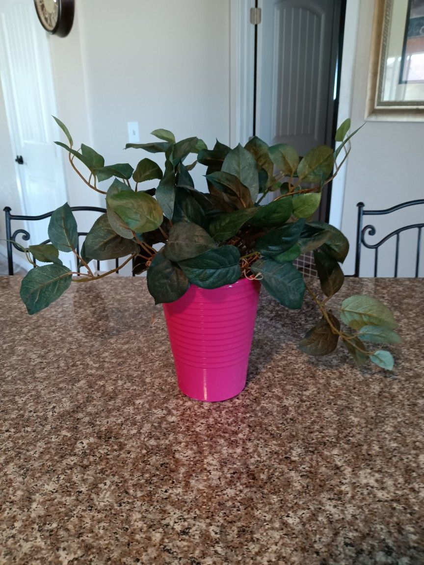 Decorative, Artificial, Plant, Plants