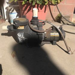 Pool Pump