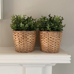 Two decorative fake plants