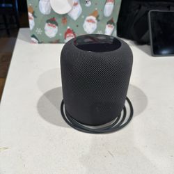 1st Gen HomePod 