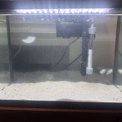 2 Fish tanks Fish Sand And Everything