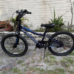 Kids bike , Blue , 20” Children Bicycle Schwinn Brand Like New 