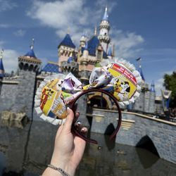Vintage Disney Movie Earsππ€