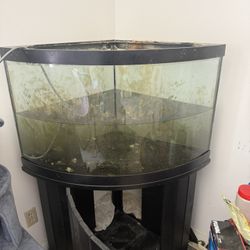 Corner Fish Tank 