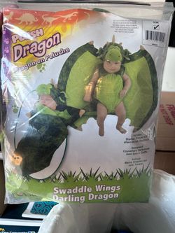 Baby Dragon Costume