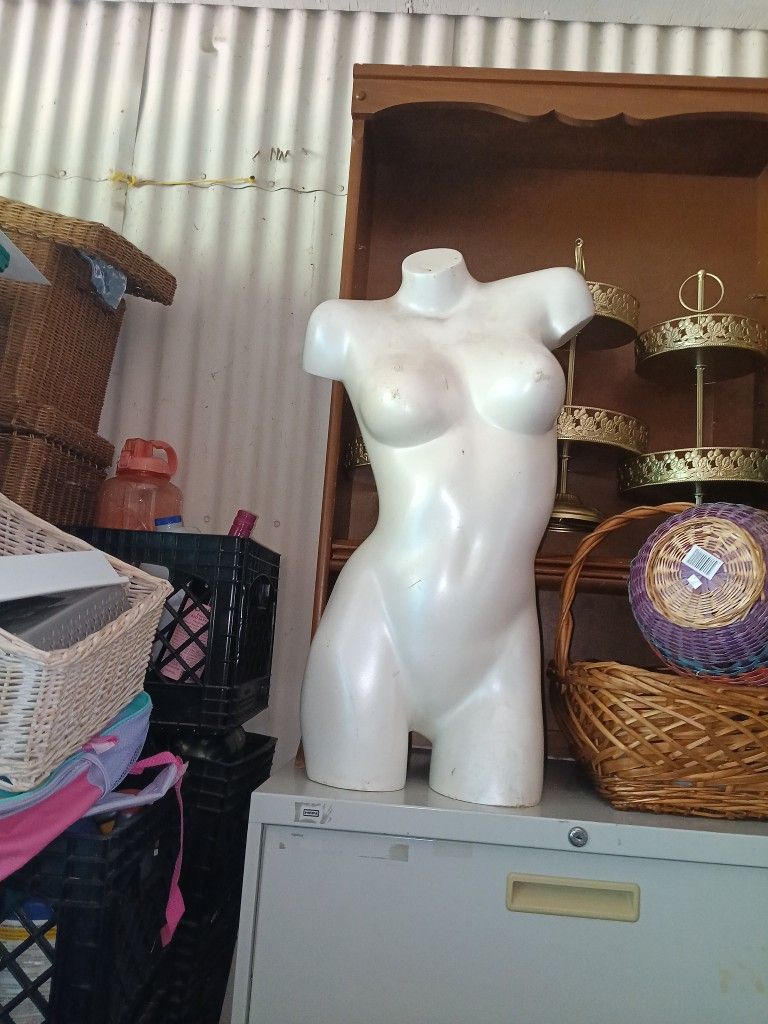 White Mannequin For Display Or Jewelry Or Shirts 🎽