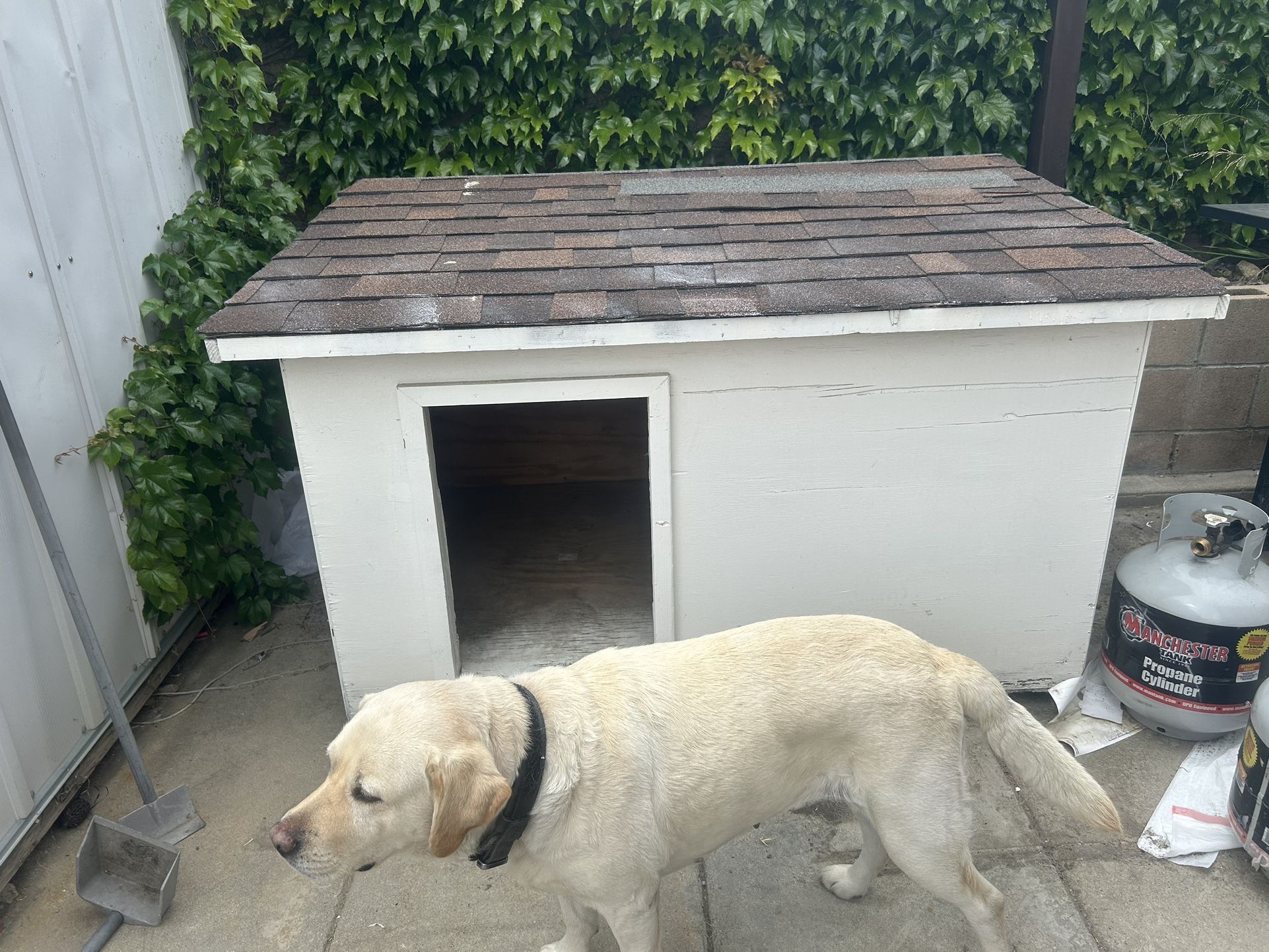 Dog House