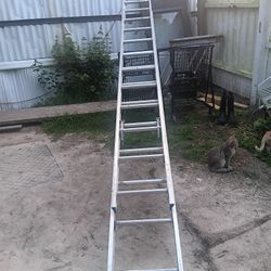 Extension Ladder