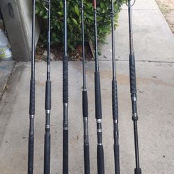 Fishing Spinning Rods 