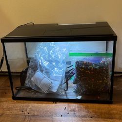 5 Gallon Fish Tank