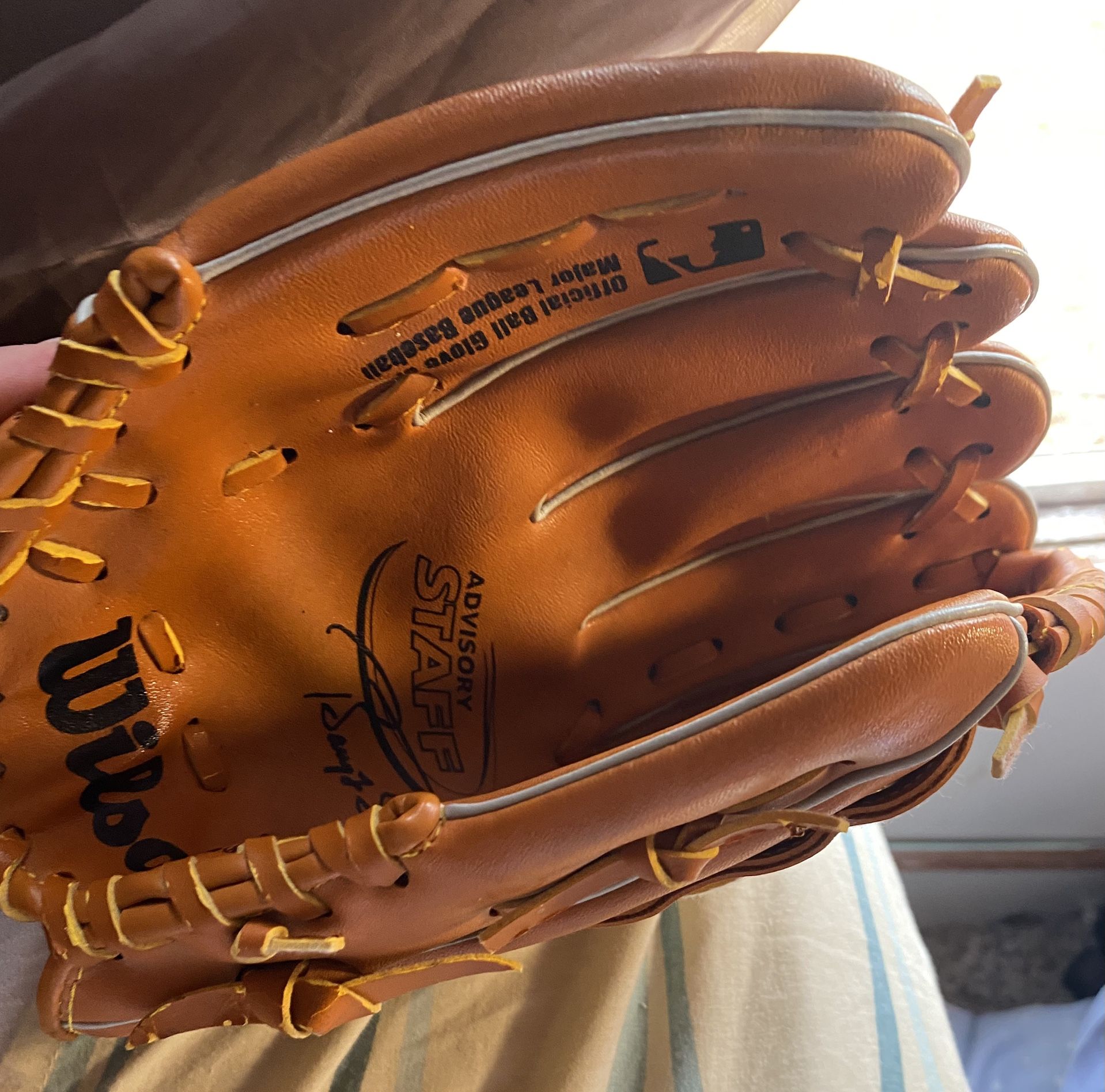 Baseball Gloves 