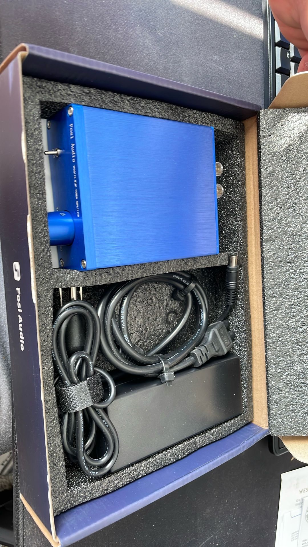 Fosi Audio V1.0g Amp