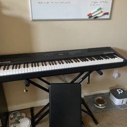 Alesis Recital Pro - 88 Key Digital Piano Keyboard with Hammer Action Weighted Keys + Paddle + Music Stand + Seats