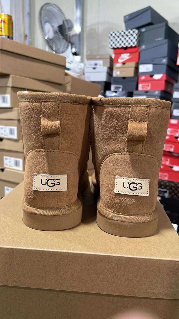 New Ugg Tazz II