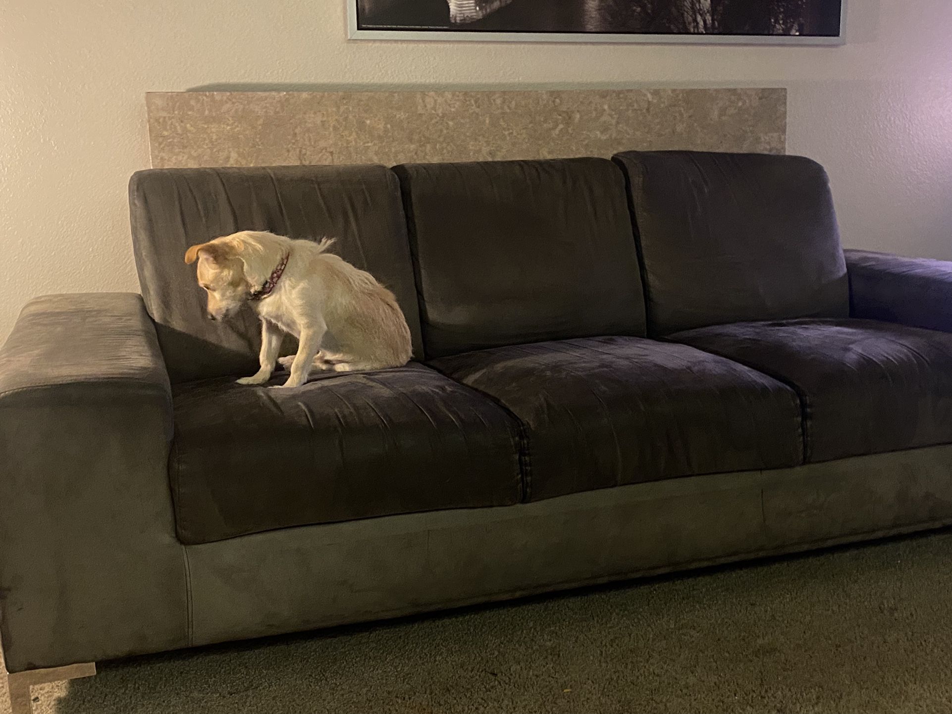 Grey Couch