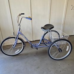 3 Wheel Bike 