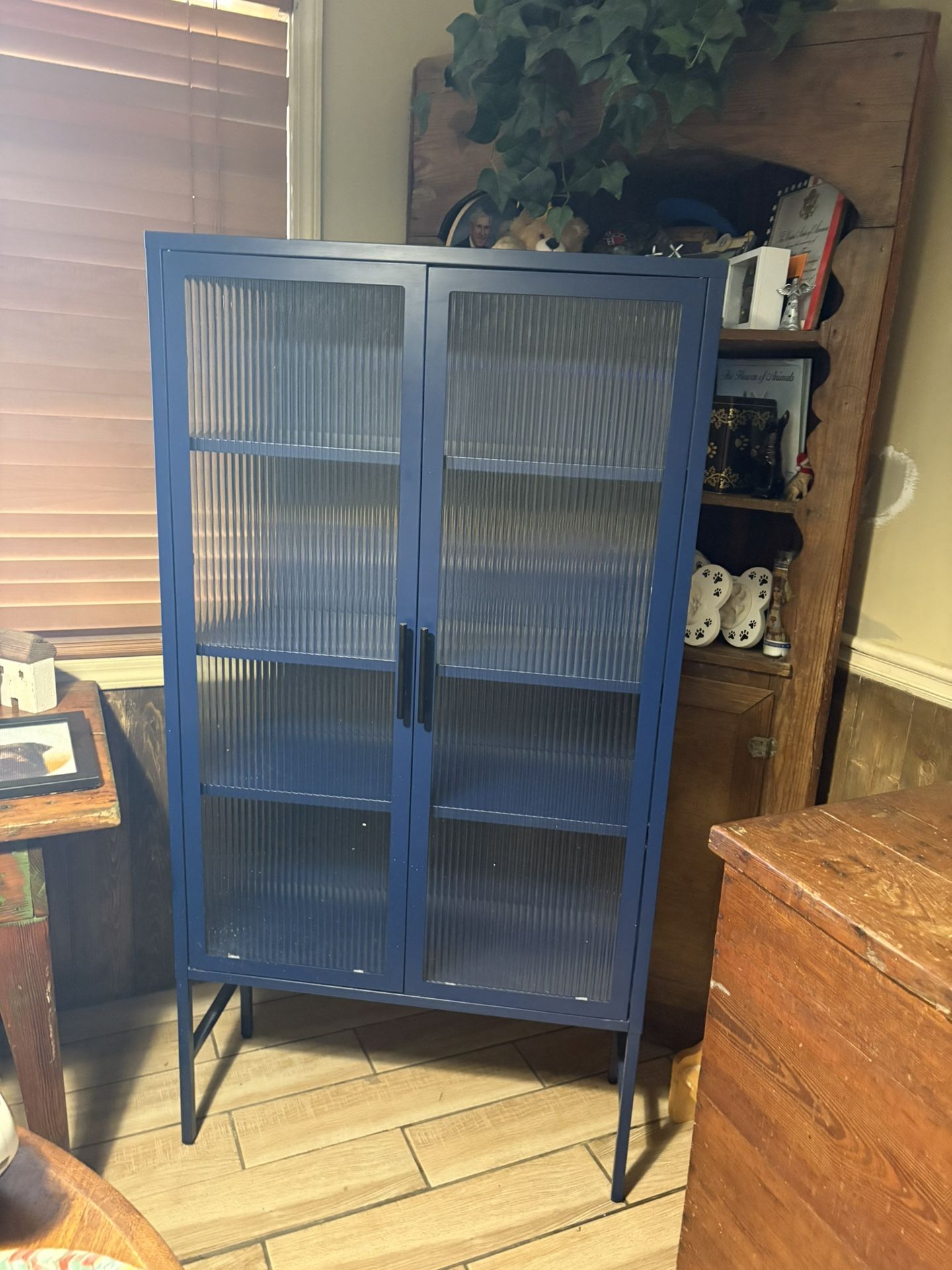 Metal /Glass Cabinet 