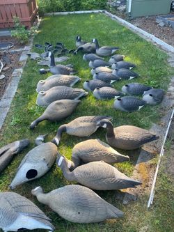 Goose decoys, lot of 28, G&H +