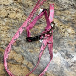 Dog Leash And Collar 