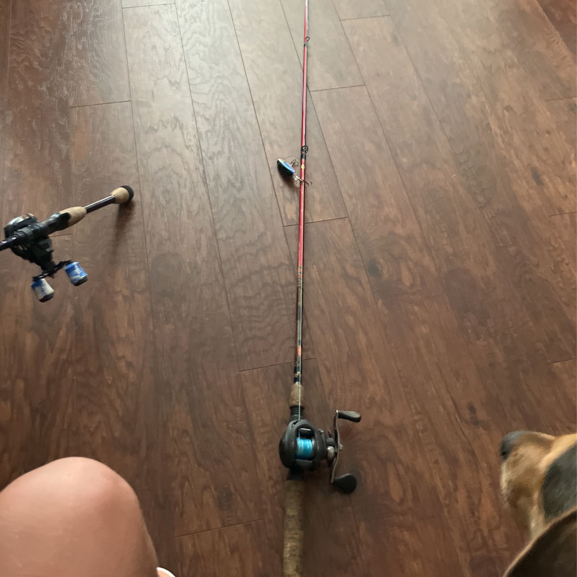 Lews, fishing reel, and Barkley fishing rod for Sale in Spring, TX