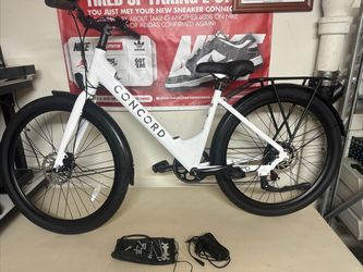 Concord Electric Bicycle (750W) Delivery App Ready! 🚲🔋