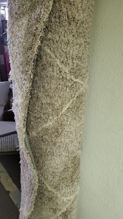 8x10 area rug