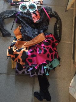 Monster high costume