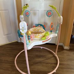 Fisher Price Baby Bouncer 