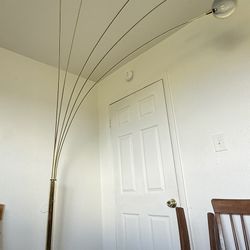 Spider lights/ Mysliweic lights