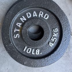 10 Lb Weights 