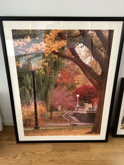 Boston Park Photo Encased In Plexiglass 36.5 X 46.25