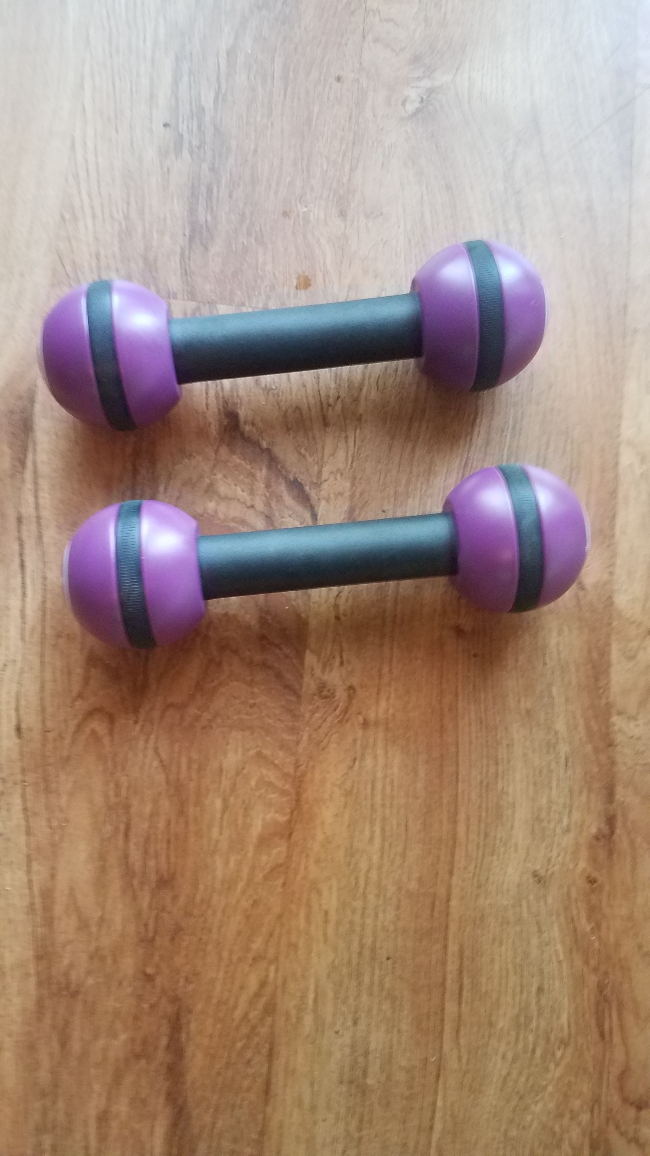 Zumba Weights