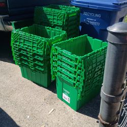 Storage Bins W Hinged Lids
