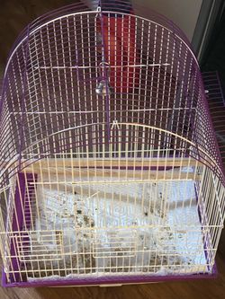 Small Bird Cage