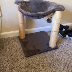 Cat Post 