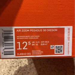 Air Zoom Pegasus38 Oregon sz12.5