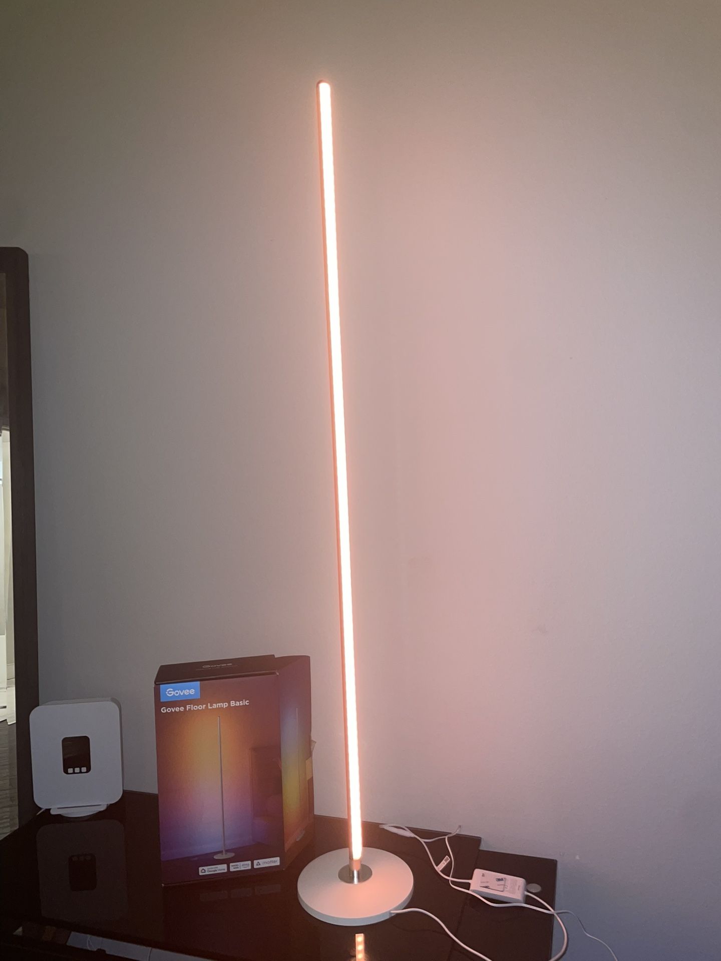 LED Floor Lamp