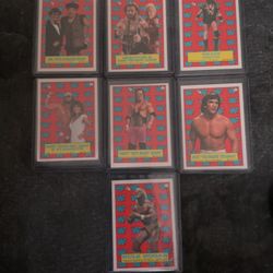 WWF 1987 Retro Topps Sticker Collection