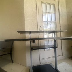  Desk - Adjustable  Rolling /Standing 