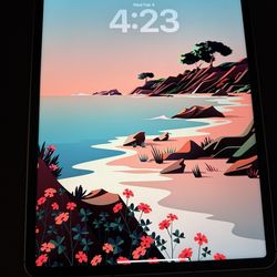 Like New! apple iPad Pro 12.9 unlocked 5th gen