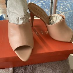 Shoes Size 6