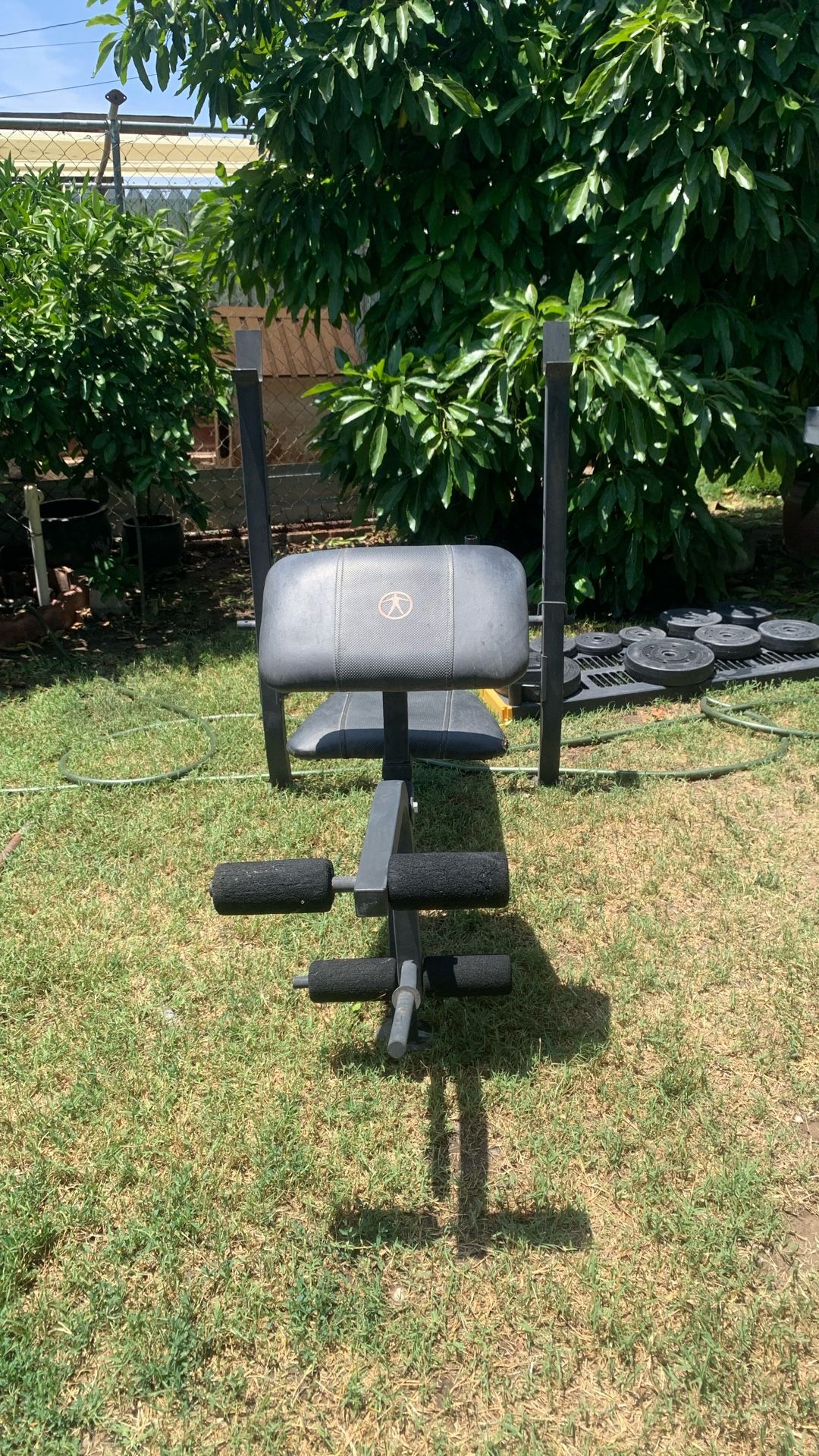 Bench Press