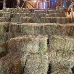 Weed-free Orchard Grass Hay (Silvana)