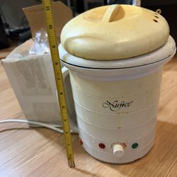 professional Body wax warmer