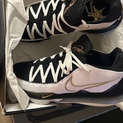Lebrons Size 13