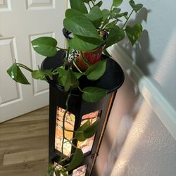 Lit Plant Stand 