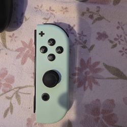 Nintendo Switch Joycon With Grip