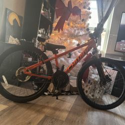 Schwinn Bicycle Orange 