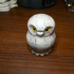 Small Owl